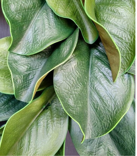 Magnolia Leaf Wreath