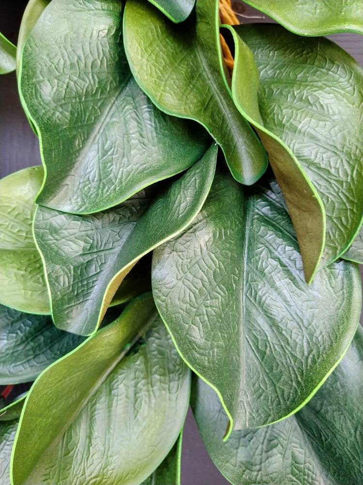Artificial Magnolia Leaves